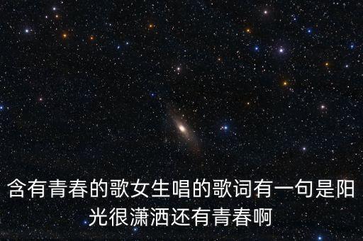 含有青春的歌女生唱的歌词有一句是阳光很潇洒还有青春啊