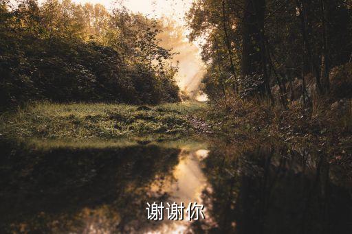谢谢你手语舞原版，谢谢你