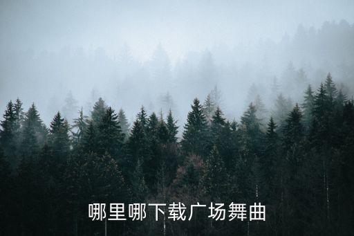 广场舞歌曲哪里可以免费下载，广场舞曲 怎么下载