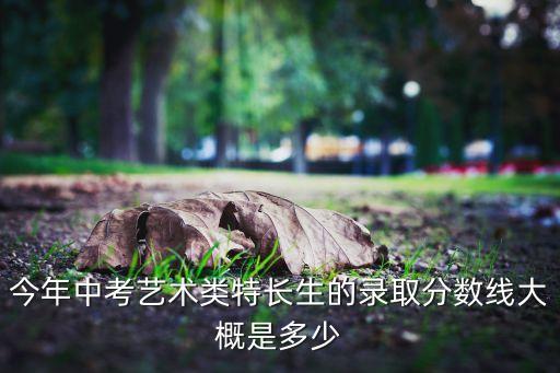 今年中考艺术类特长生的录取分数线大概是多少