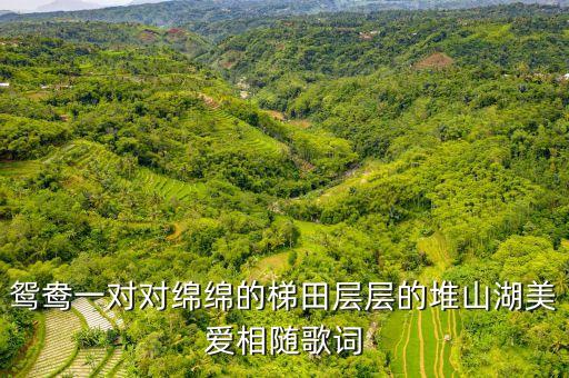 鸳鸯一对对绵绵的梯田层层的堆山湖美爱相随歌词