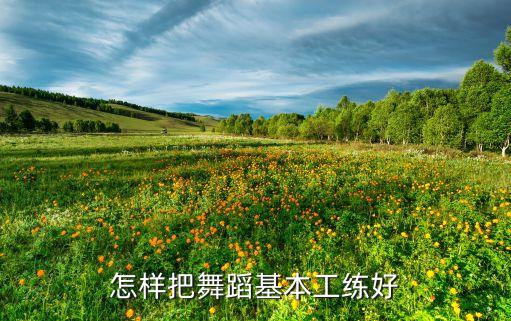怎样把舞蹈基本工练好