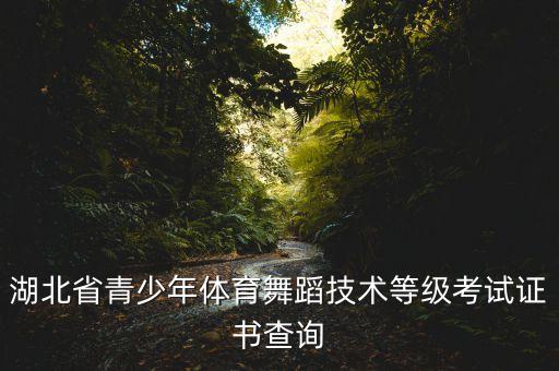 湖北省青少年体育舞蹈技术等级考试证书查询