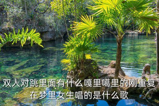 广场舞对跳女人是什么歌曲有哪些，乌鸡广场舞对跳美丽的姑娘背景音乐哪里下载