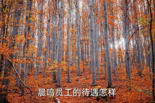 晨鸣员工的待遇怎样