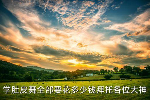 学肚皮舞全部要花多少钱拜托各位大神