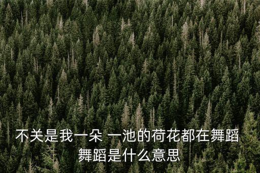不关是我一朵 一池的荷花都在舞蹈 舞蹈是什么意思