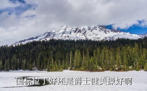 国标拉丁好还是爵士健美操好啊
