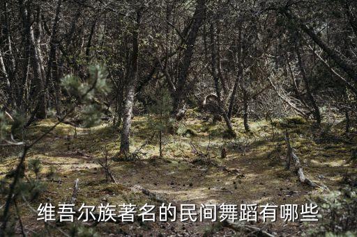 有什么维族剧目，维吾尔族著名的民间舞蹈有哪些