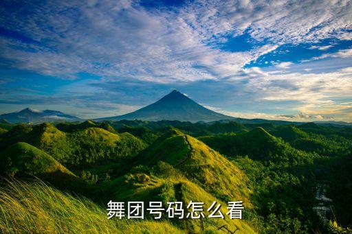 舞团号码怎么看