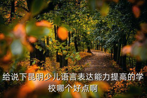给说下昆明少儿语言表达能力提高的学校哪个好点啊