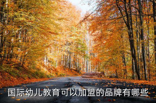 国际幼儿教育可以加盟的品牌有哪些