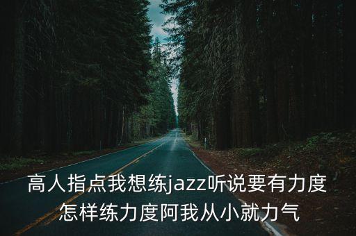 高人指点我想练jazz听说要有力度 怎样练力度阿我从小就力气
