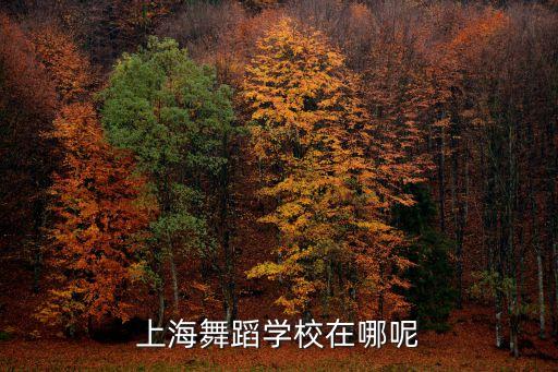 上海舞蹈学校在哪呢
