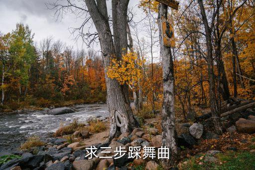 哪里有三步踩舞曲免费下载，求三步踩舞曲