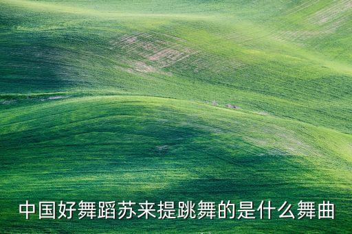 中国好舞蹈苏来提跳舞的是什么舞曲