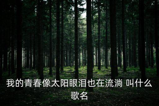 我的青春像太阳眼泪也在流淌 叫什么歌名