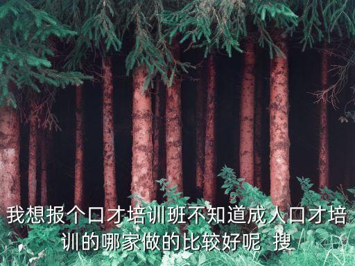成人演讲与口才培训课程，w我想练一下口才请问成都有针对成人的口才训练班吗