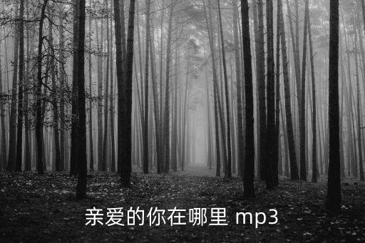 亲爱的你在哪里 mp3