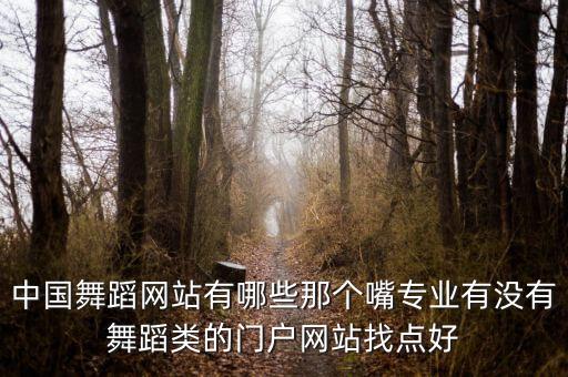 中舞网的搜索在哪里，中国舞蹈网站有哪些那个嘴专业有没有舞蹈类的门户网站找点好