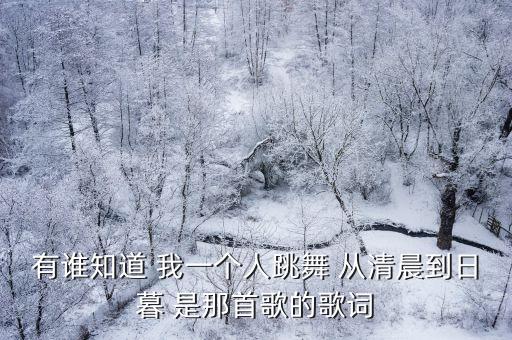 有谁知道 我一个人跳舞 从清晨到日暮 是那首歌的歌词