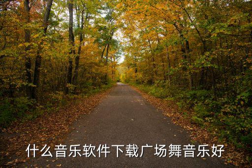 什么音乐软件下载广场舞音乐好