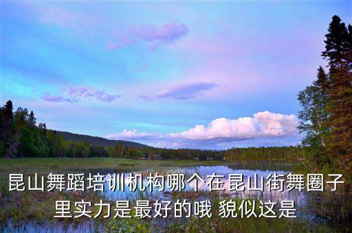 昆山舞蹈培训机构哪个在昆山街舞圈子里实力是最好的哦 貌似这是