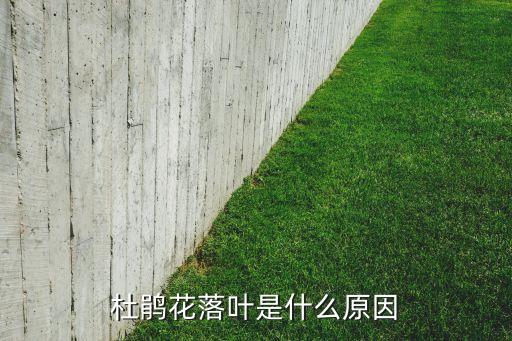 杜鹃花落叶是什么原因