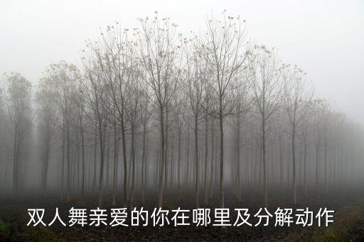 双人舞亲爱的你在哪里及分解动作