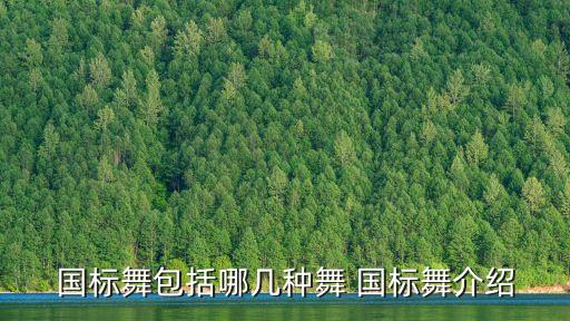 国标舞包括哪几种舞 国标舞介绍