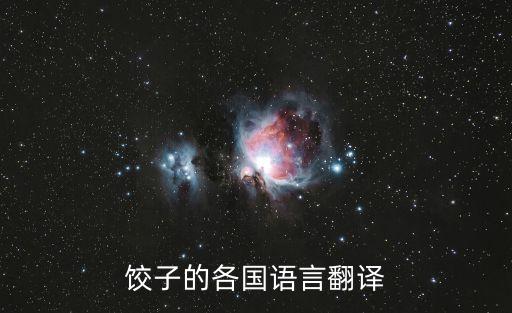 饺子的各国语言翻译