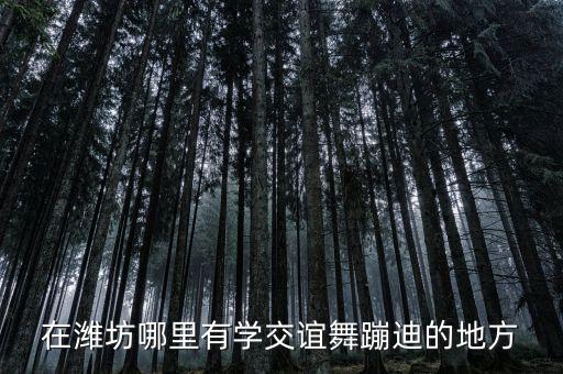在潍坊哪里有学交谊舞蹦迪的地方