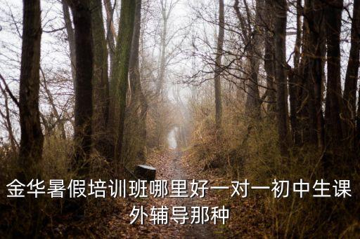 金华教育机构一对一，金华中小学课外辅导班哪家好 需要个性化定制教育 教师一对一的那