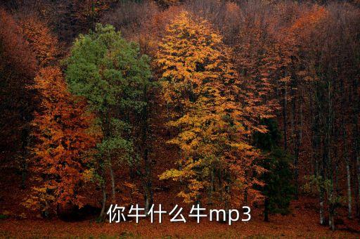 你牛什么牛mp3