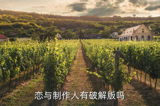 恋与制作人有破解版吗