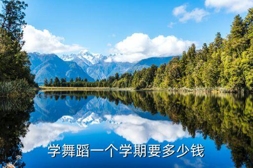 学舞蹈一个学期要多少钱