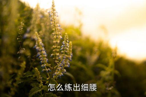 怎么练出细腰