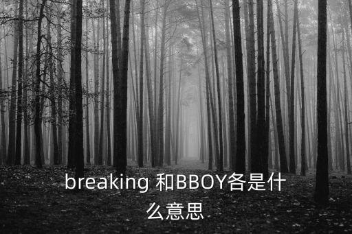 breaking 和BBOY各是什么意思