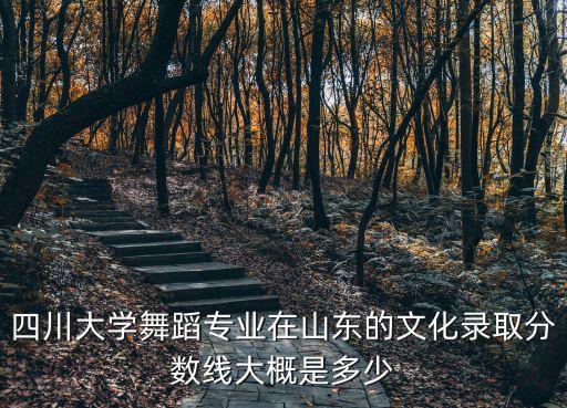 四川大学舞蹈专业在山东的文化录取分数线大概是多少