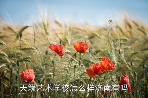 天籁艺术学校怎么样济南有吗