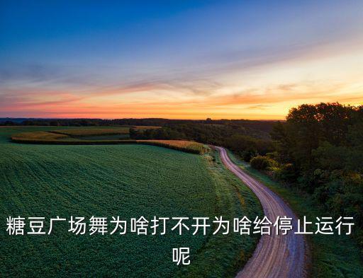 糖豆广场舞为啥打不开为啥给停止运行呢