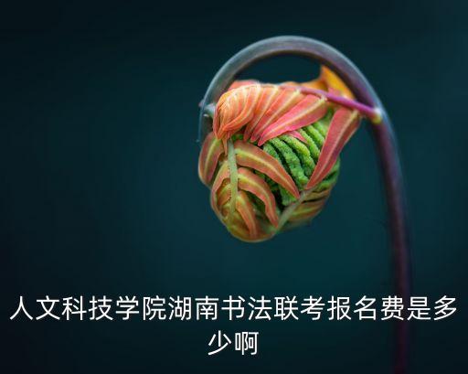 人文科技学院湖南书法联考报名费是多少啊