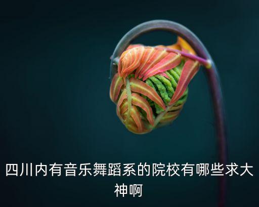 四川内有音乐舞蹈系的院校有哪些求大神啊