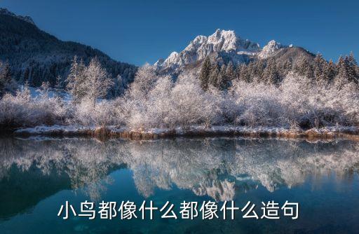 小鸟都像什么都像什么造句