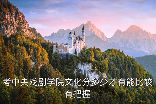 考中央戏剧学院文化分多少才有能比较有把握