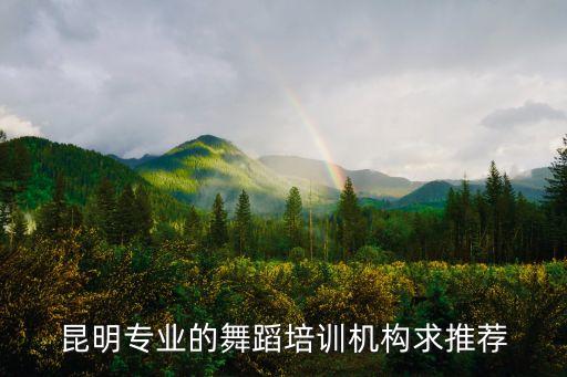 昆明专业的舞蹈培训机构求推荐