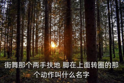 街舞那个两手扶地 脚在上面转圈的那个动作叫什么名字
