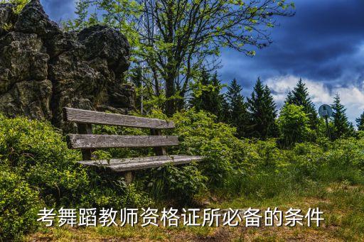 考舞蹈教师资格证所必备的条件