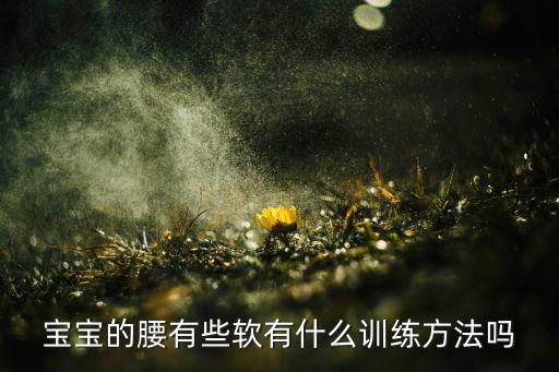 宝宝的腰有些软有什么训练方法吗