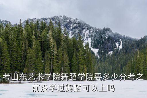 考山东艺术学院舞蹈学院要多少分考之前没学过舞蹈可以上吗